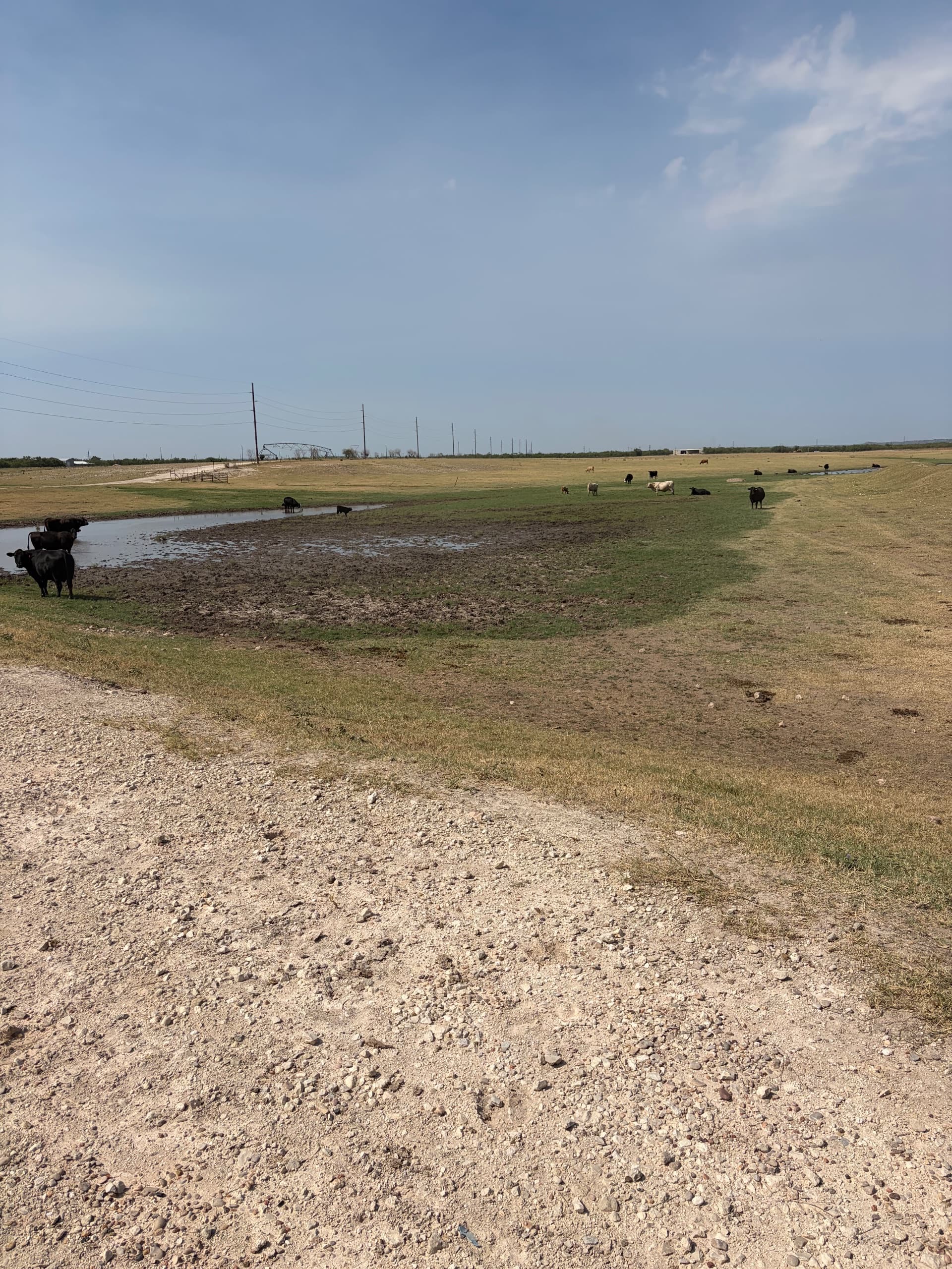 50th Street · Group 03, Tom Green County — property photo