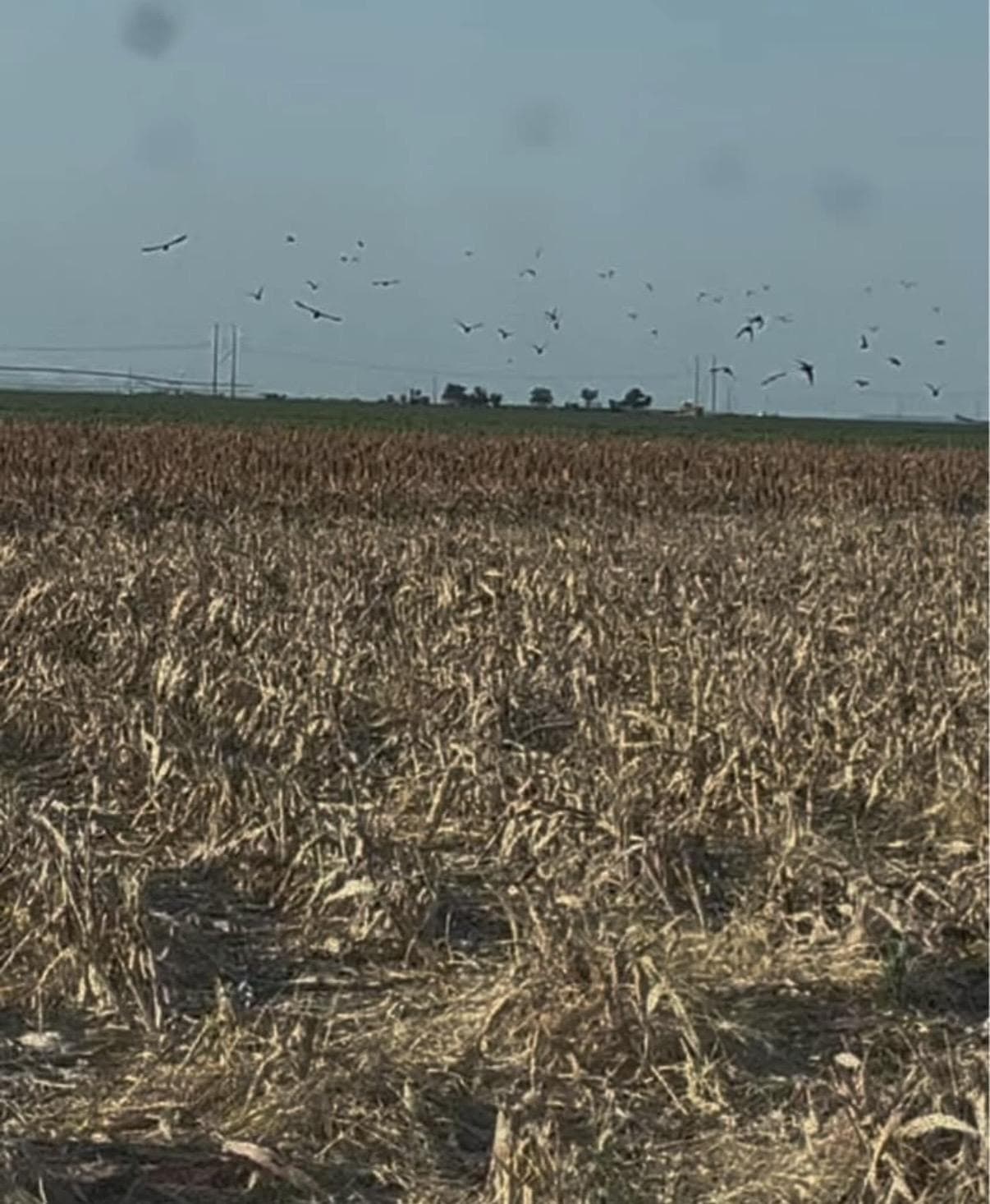 Mereta Feeding Grounds · Group 02, Tom Green County — property photo