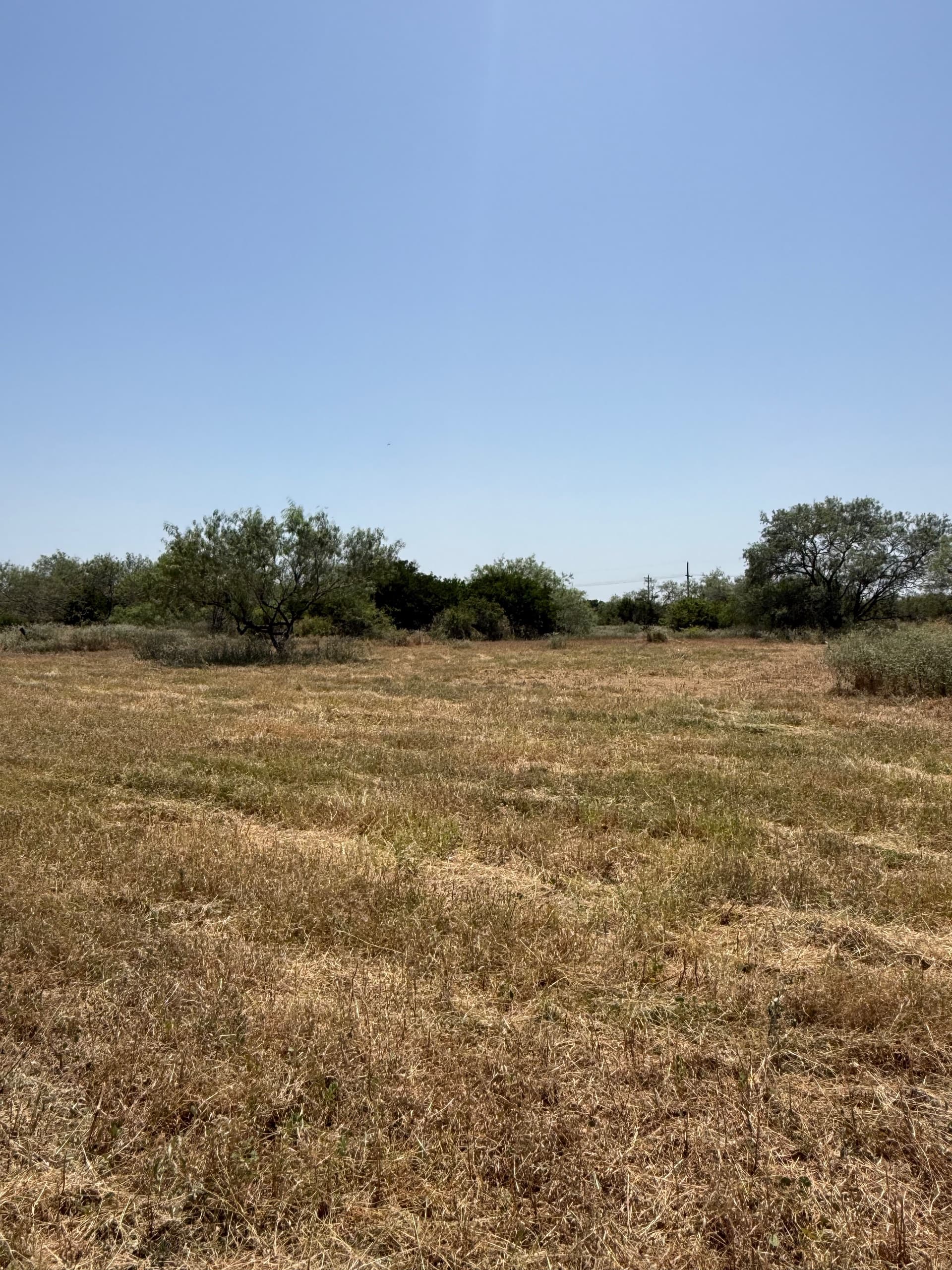Dove, Brooks County — property photo